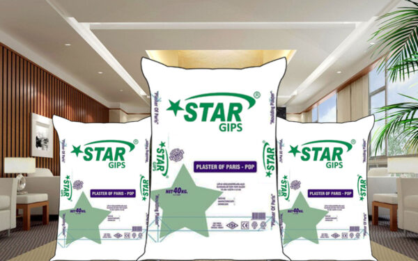 StarGips Plaster of Paris